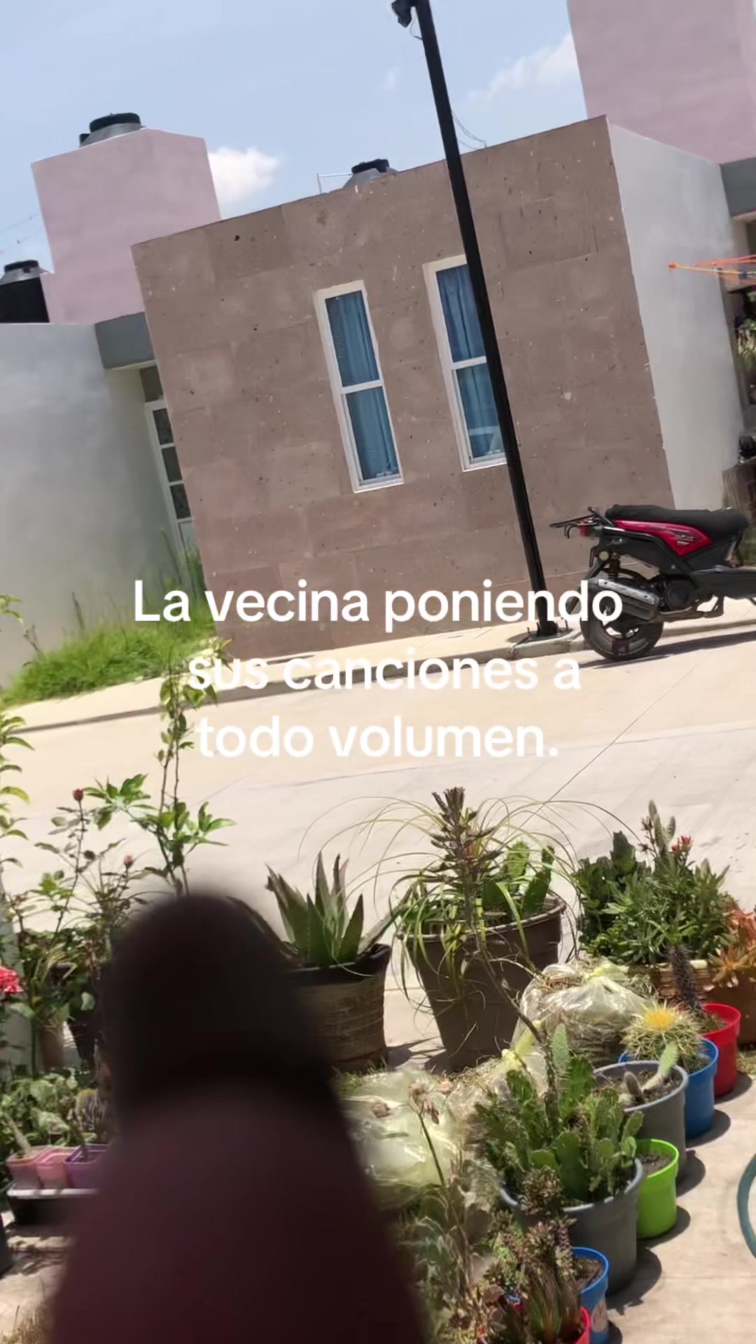 @Kari Moli