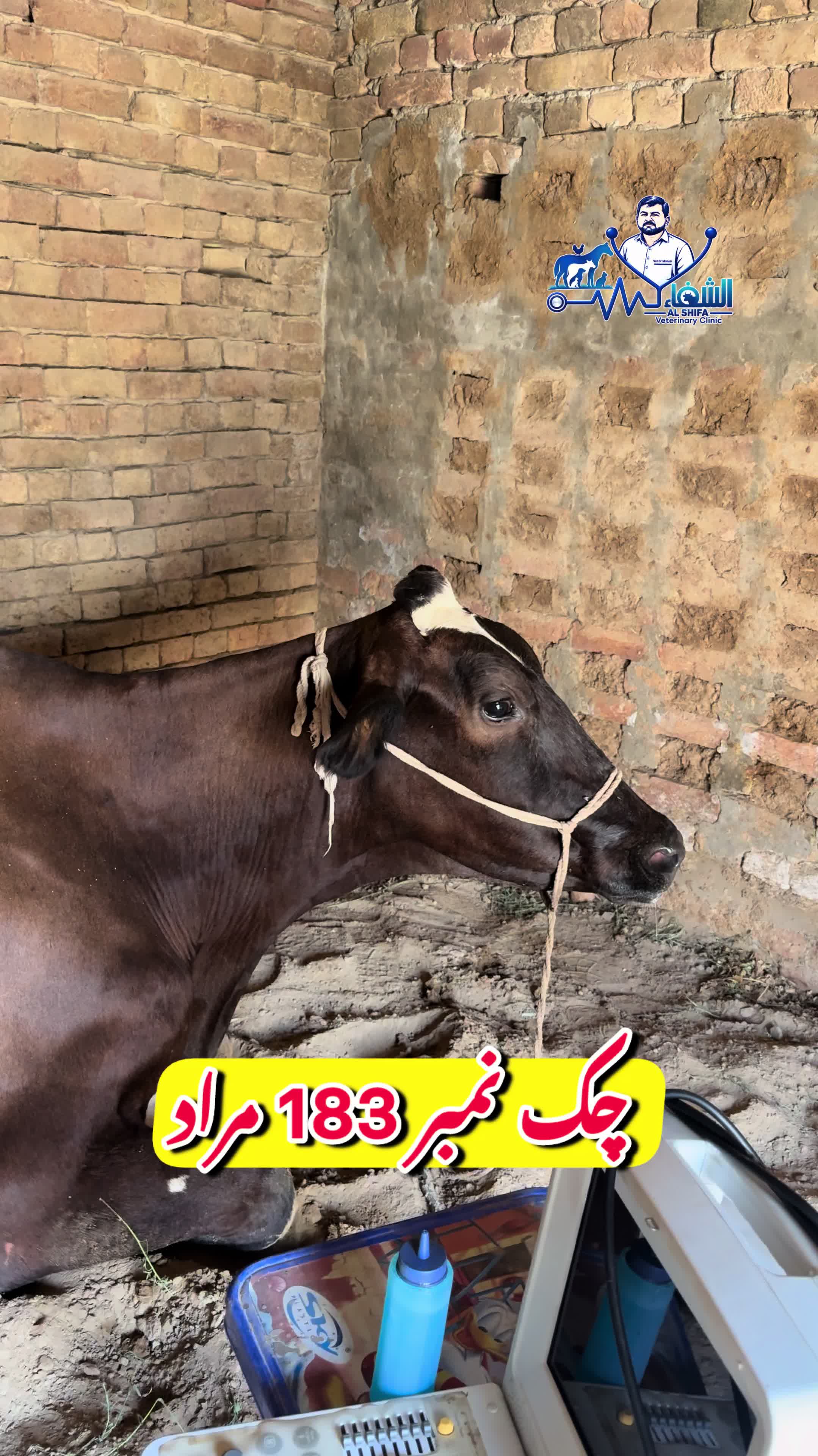 @Dr.Mohsin