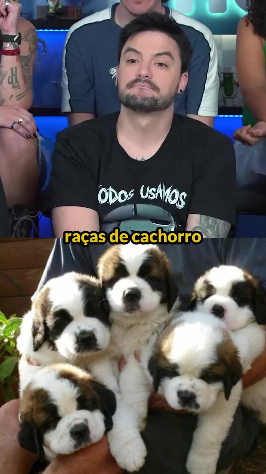 @Felipe Neto
