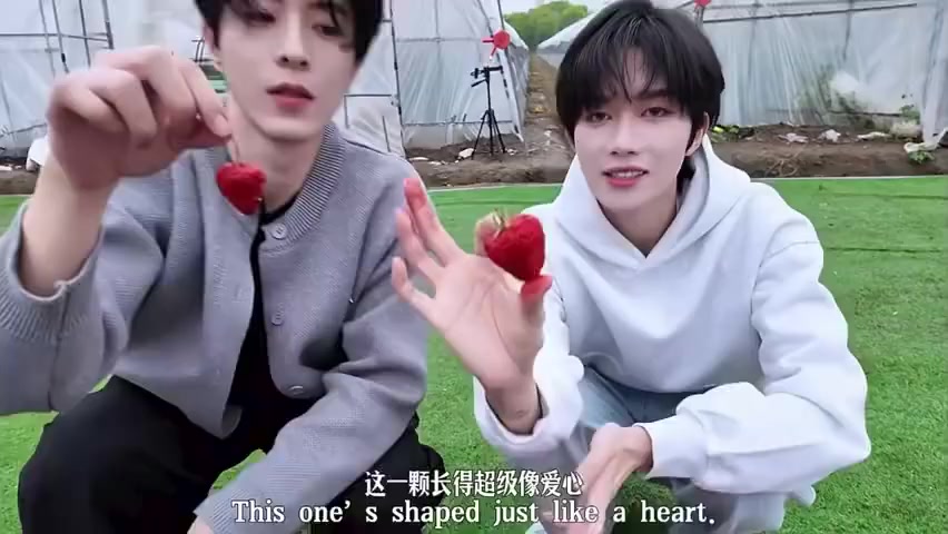 @LinhLinh 龚俊🍊张哲瀚 ❤️051129💙