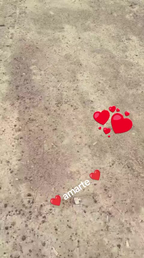 @Georgy🌻❤️