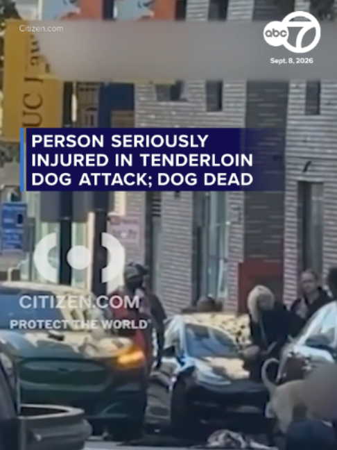 @ABC7 News