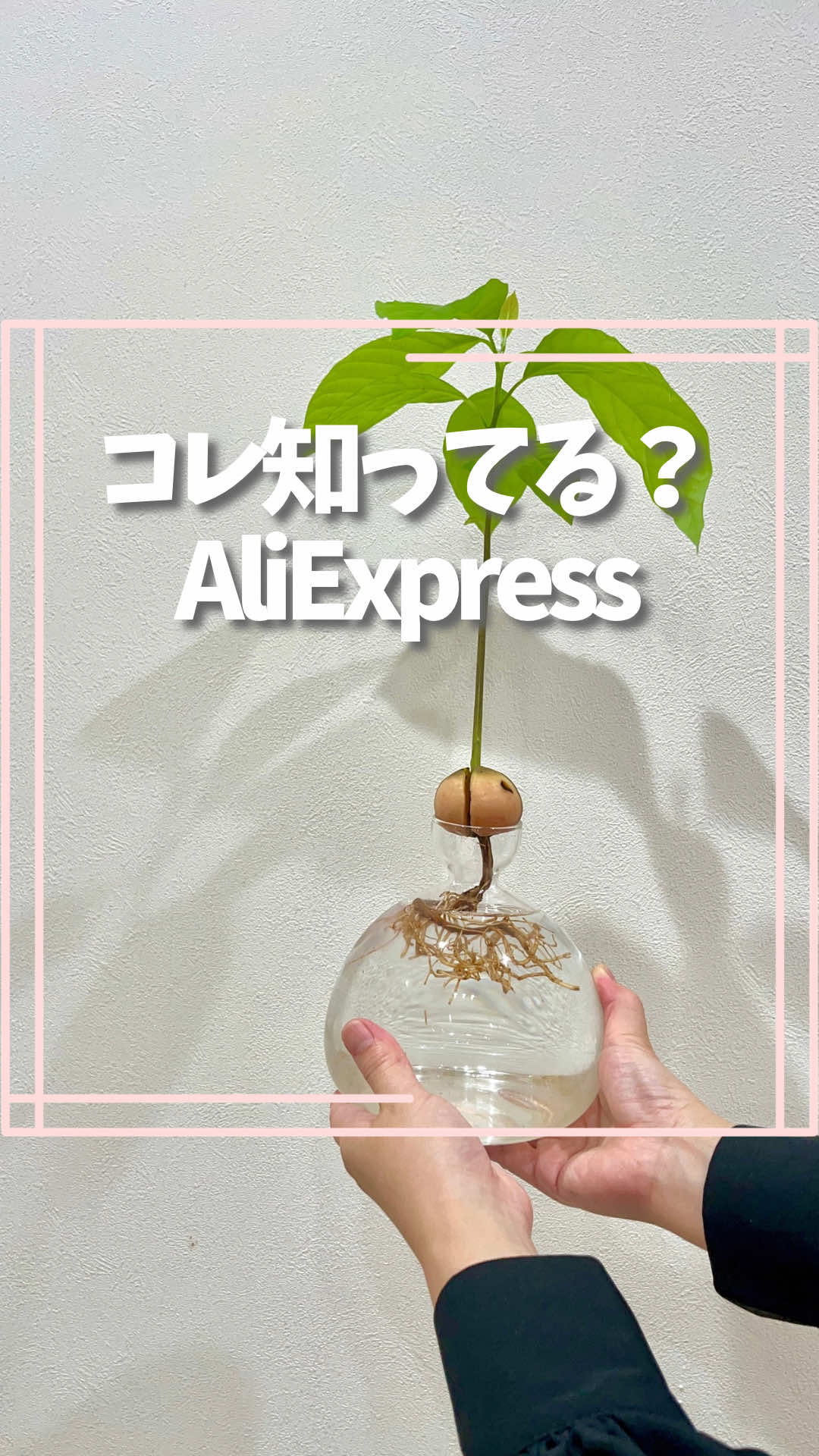 @はる|年間100種類の野菜を育てる3児のママ🍅
