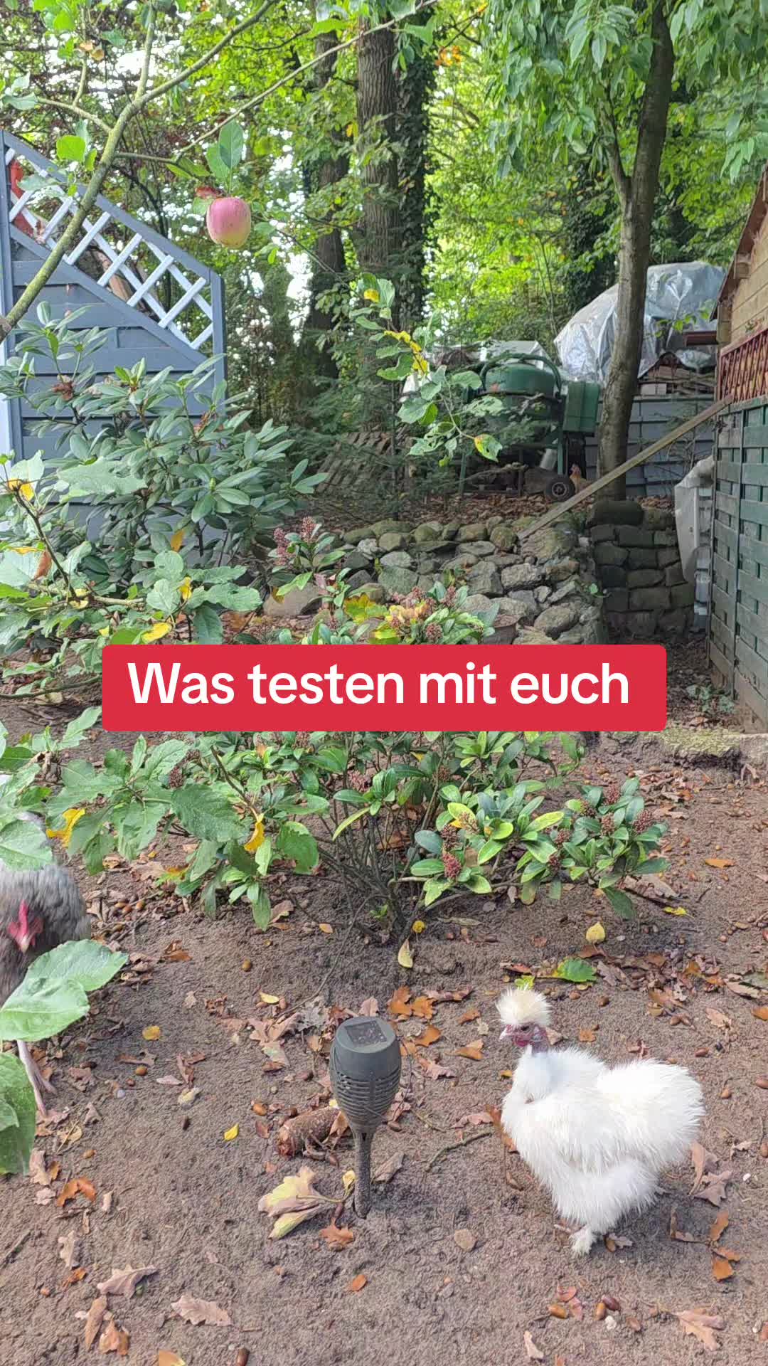 @Janine&Schatzi die echten