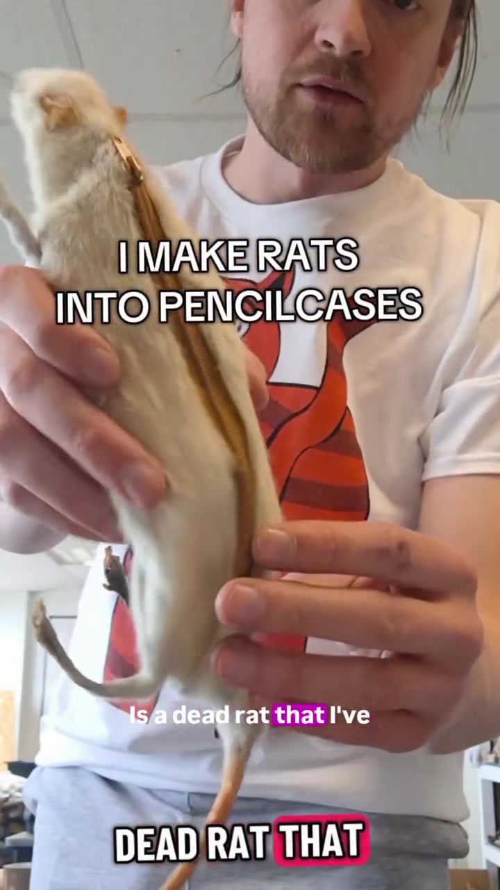 @Keenanrmalloy