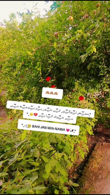 @BAHI JAN With NAINA