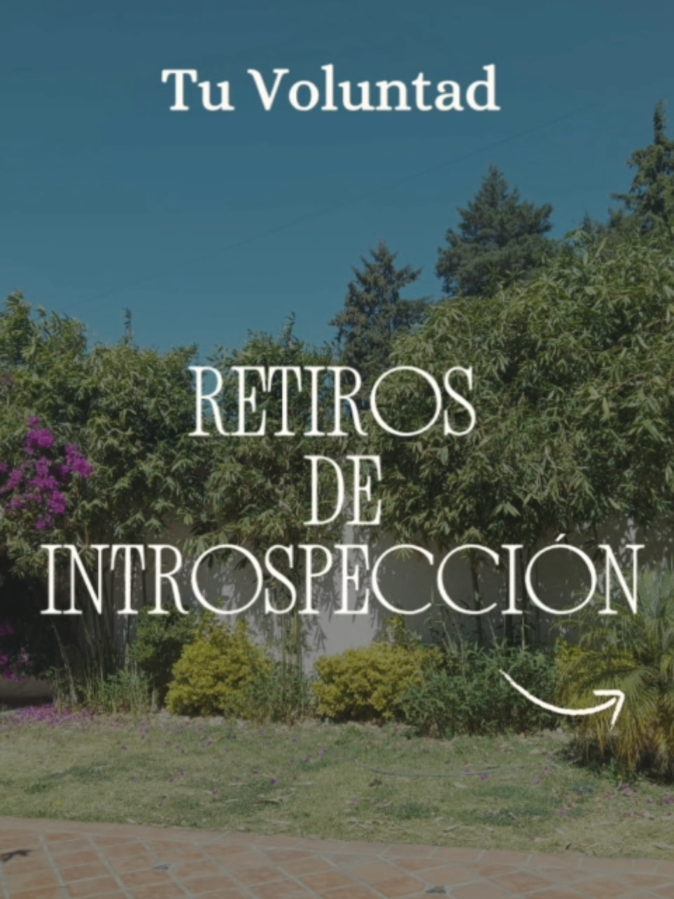 @Tu Voluntad