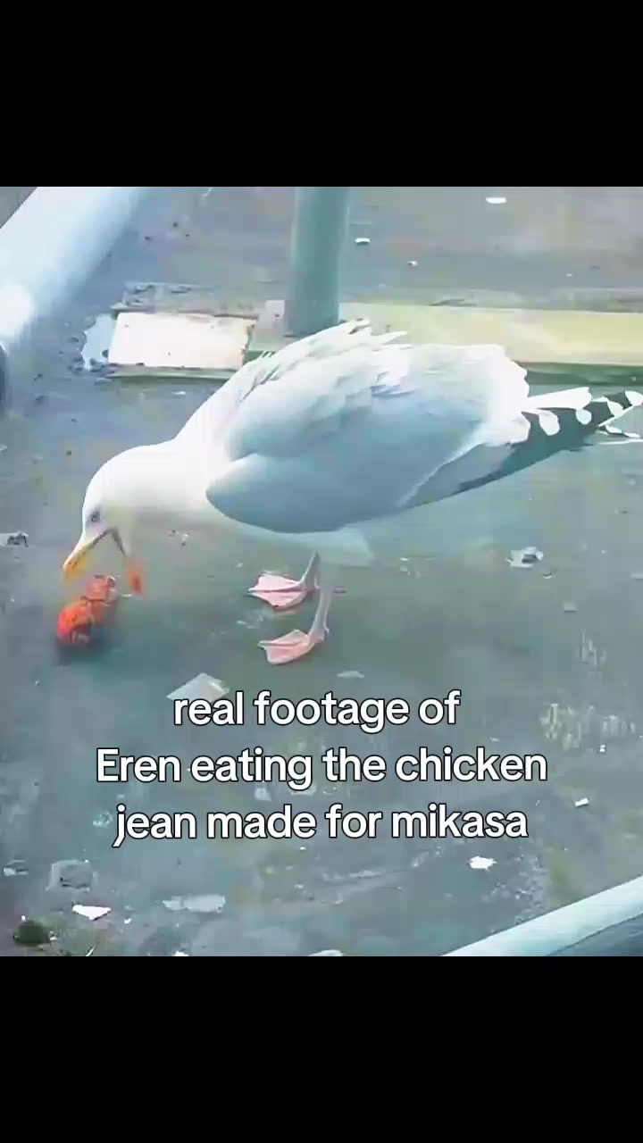@Nikolai