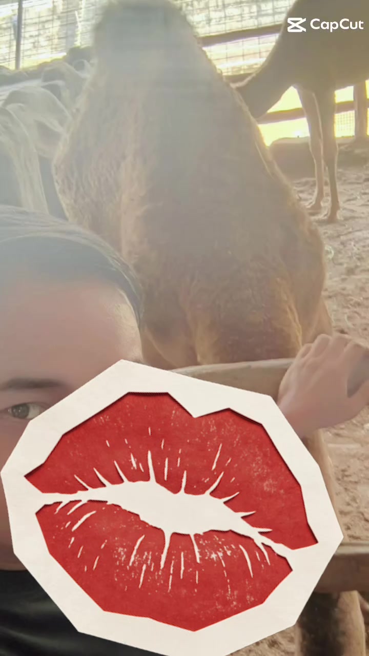 @𝐀.𝐒𝐑 ツ ᵀᶦᵃⁿ𝐍𝐎𝐁𝐈𝐓𝐀ᴺᵒᵇᶦ