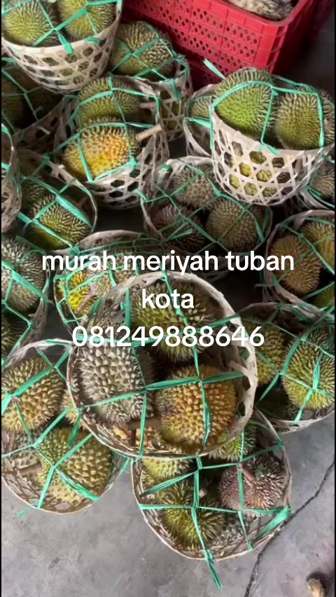 @Kenzhi Durian Tuban