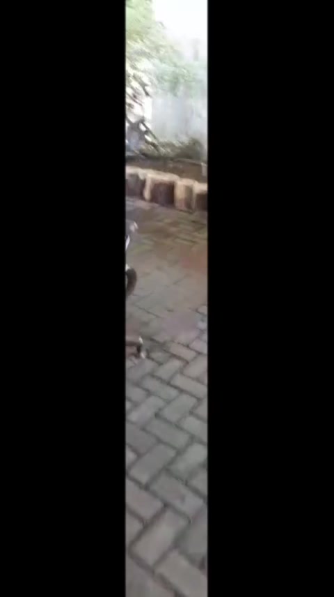 @نور الرزقي