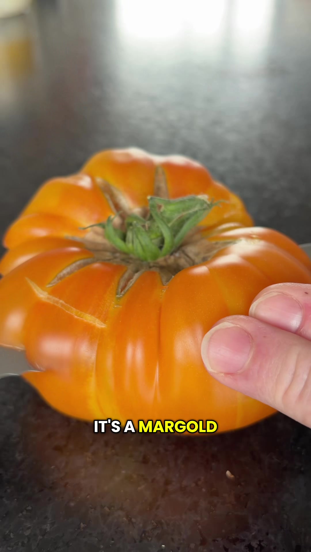 @Foodie Québec