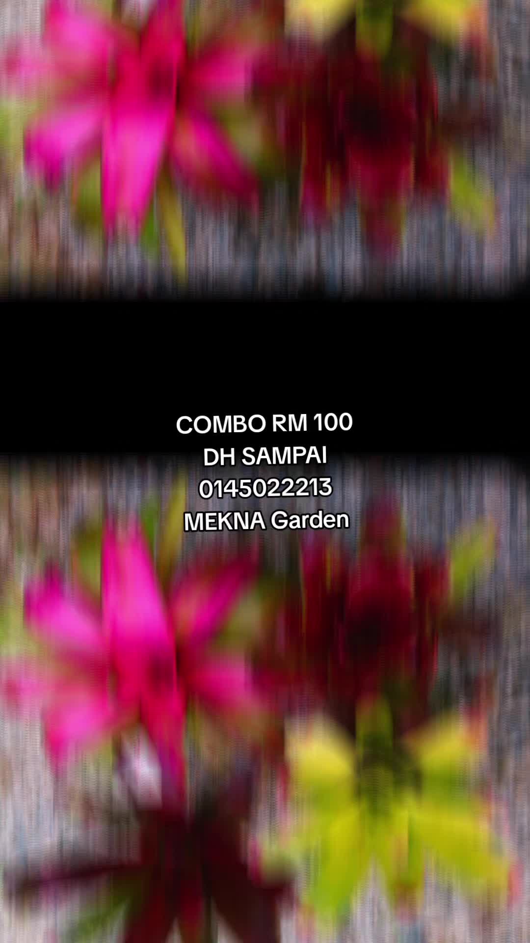 @MEKNA Garden