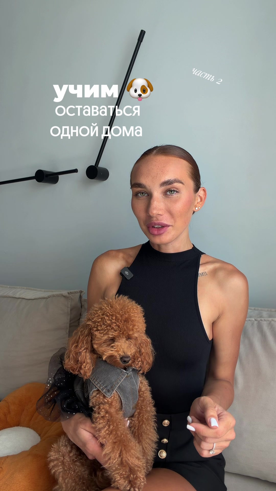@beatrice_poodle
