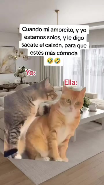 @luisfernandohcari