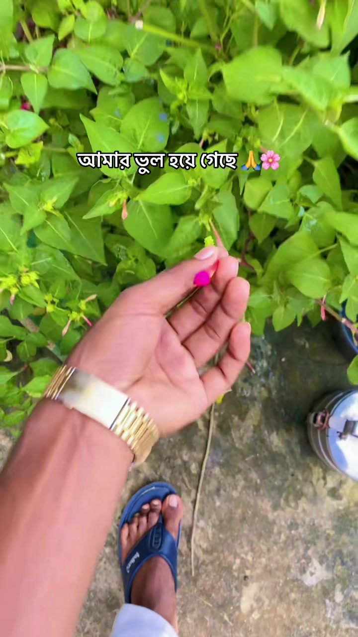 @ বি-বাড়িয়ার ছেলে আমি 