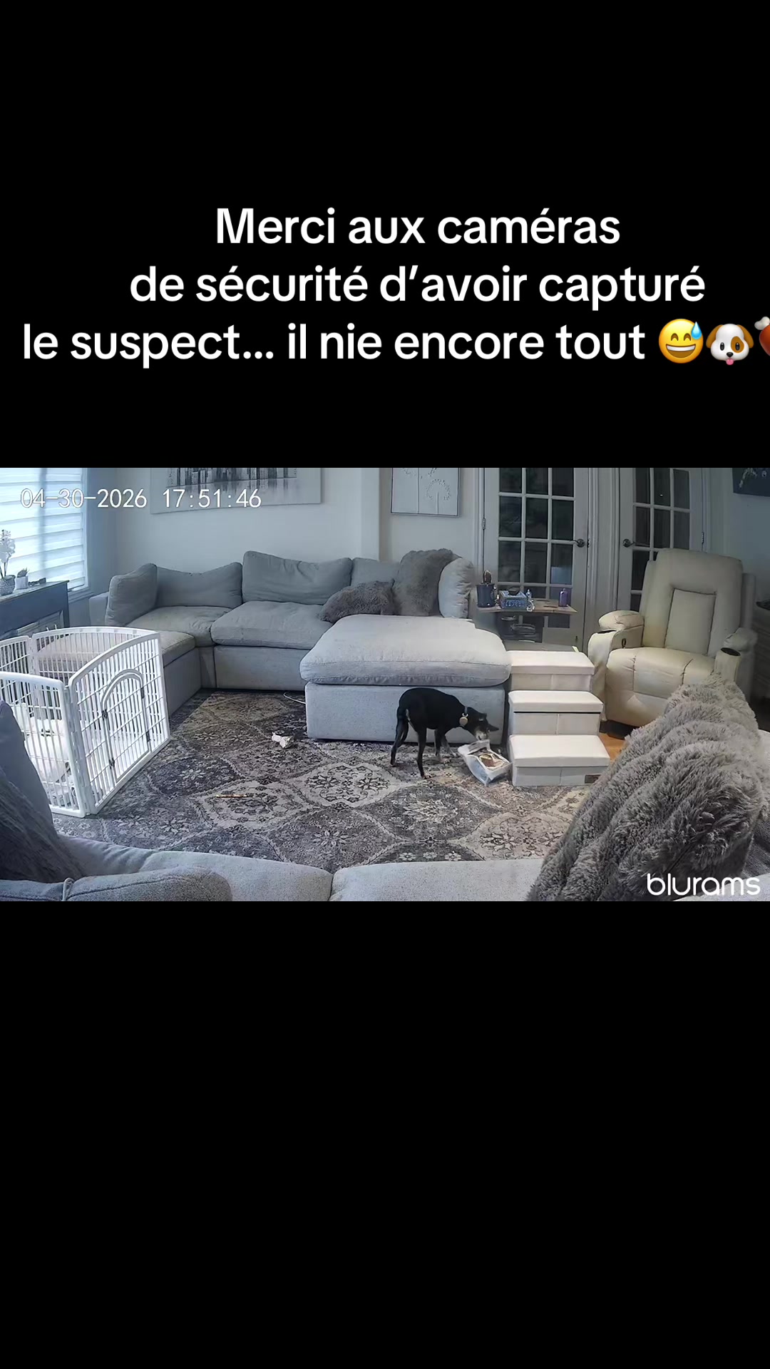 @Fofolle