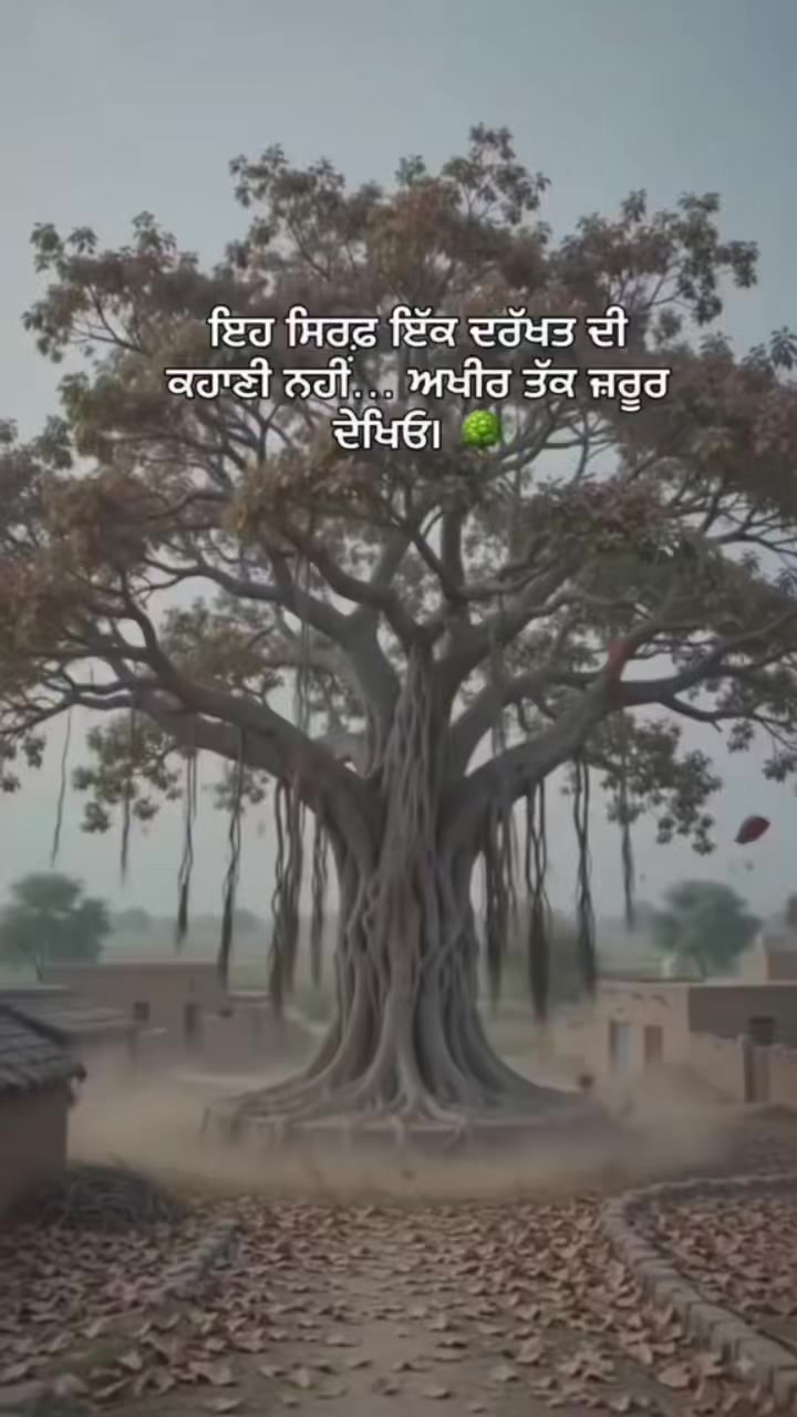 @Mandip Randhawa Kahlon