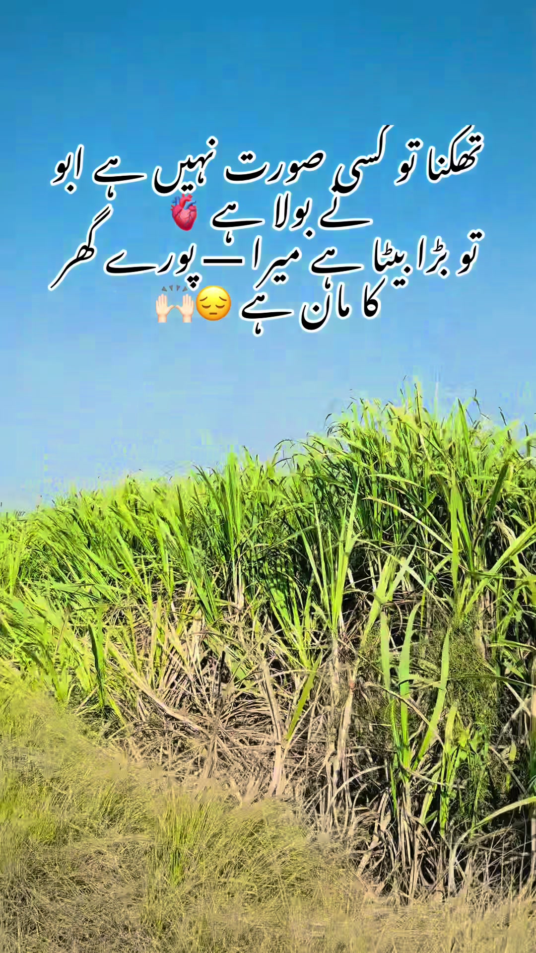 @🥷 سردار عاصم بلوچ 🏴☠️