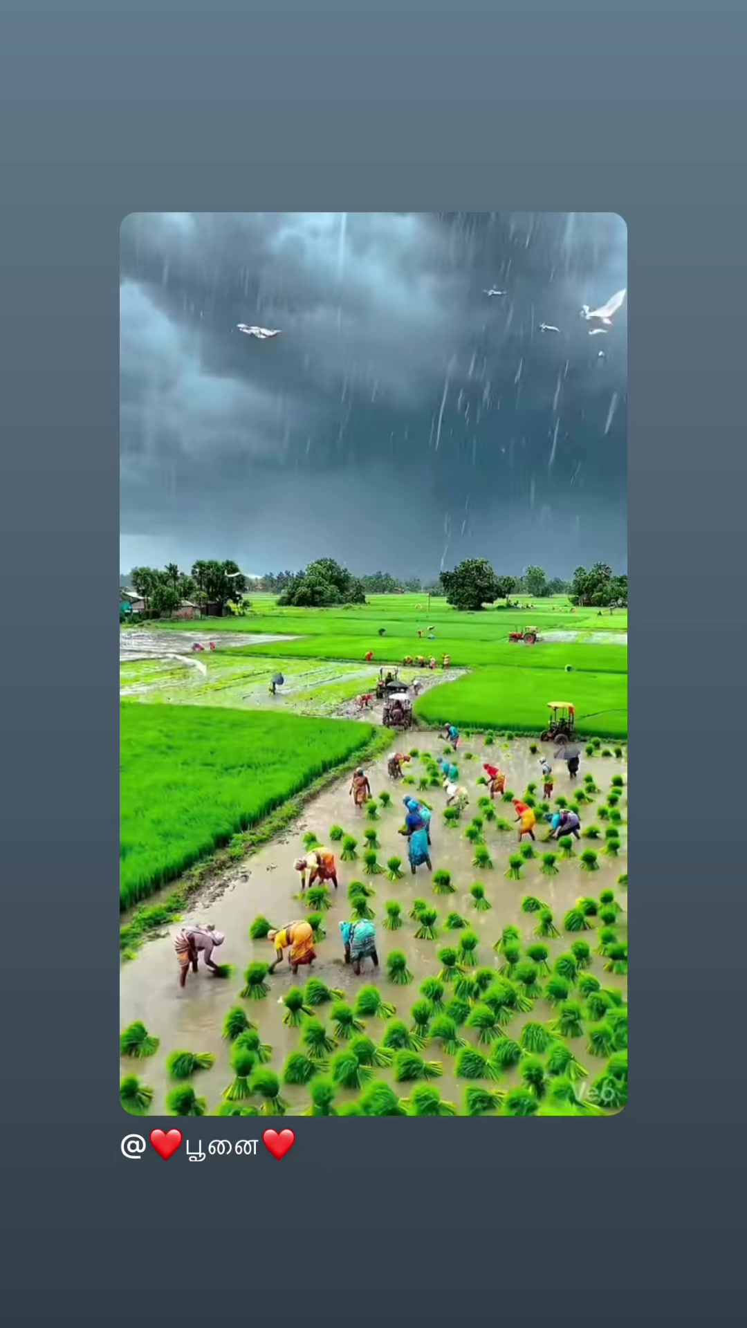 @💕Yalini@LYP santhy 💕🥰😍😘
