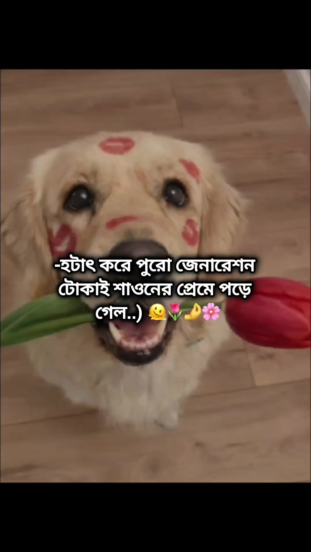 @_🐸"জাতির-Pakna-ভাইয়া"🐸🍒_