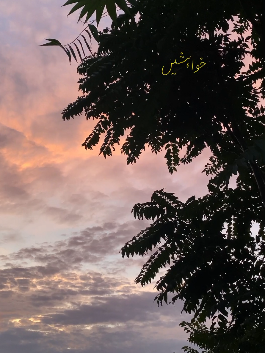 @Maryam Awan ♡