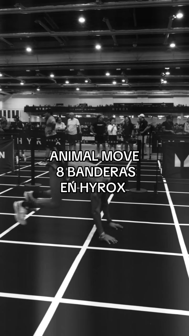 @ANIMAL MOVE
