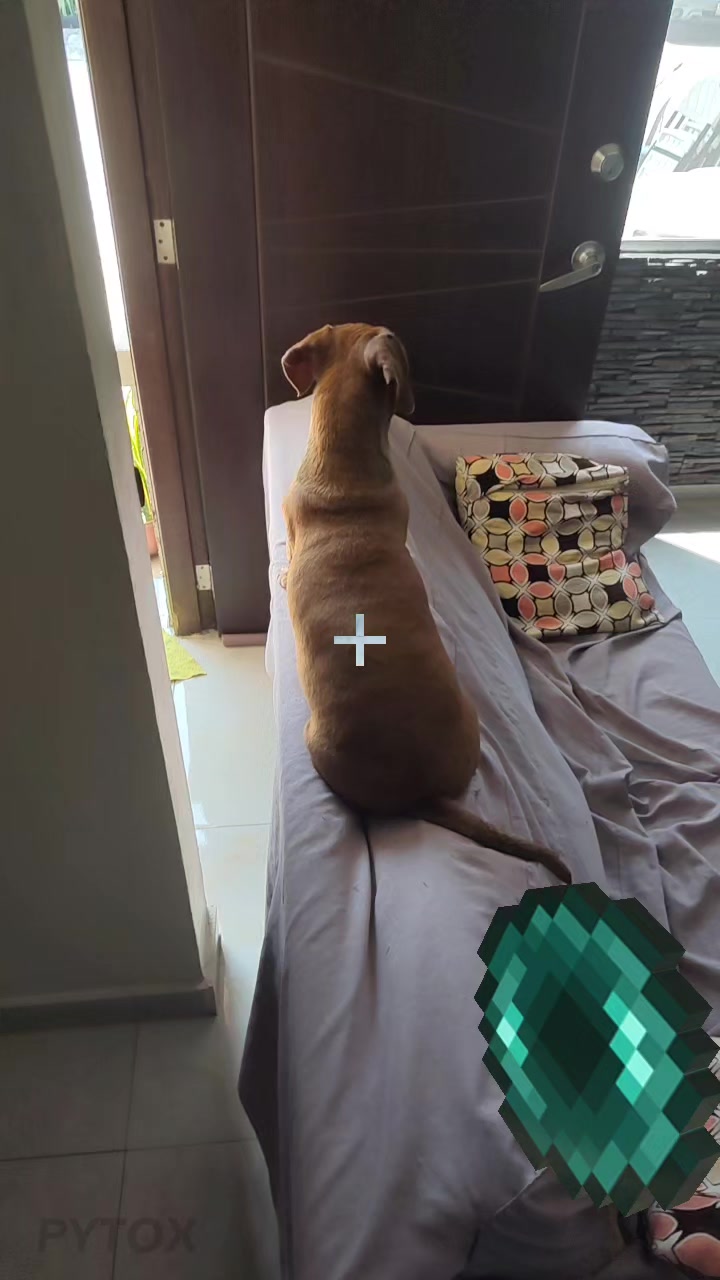 @Kobegus24