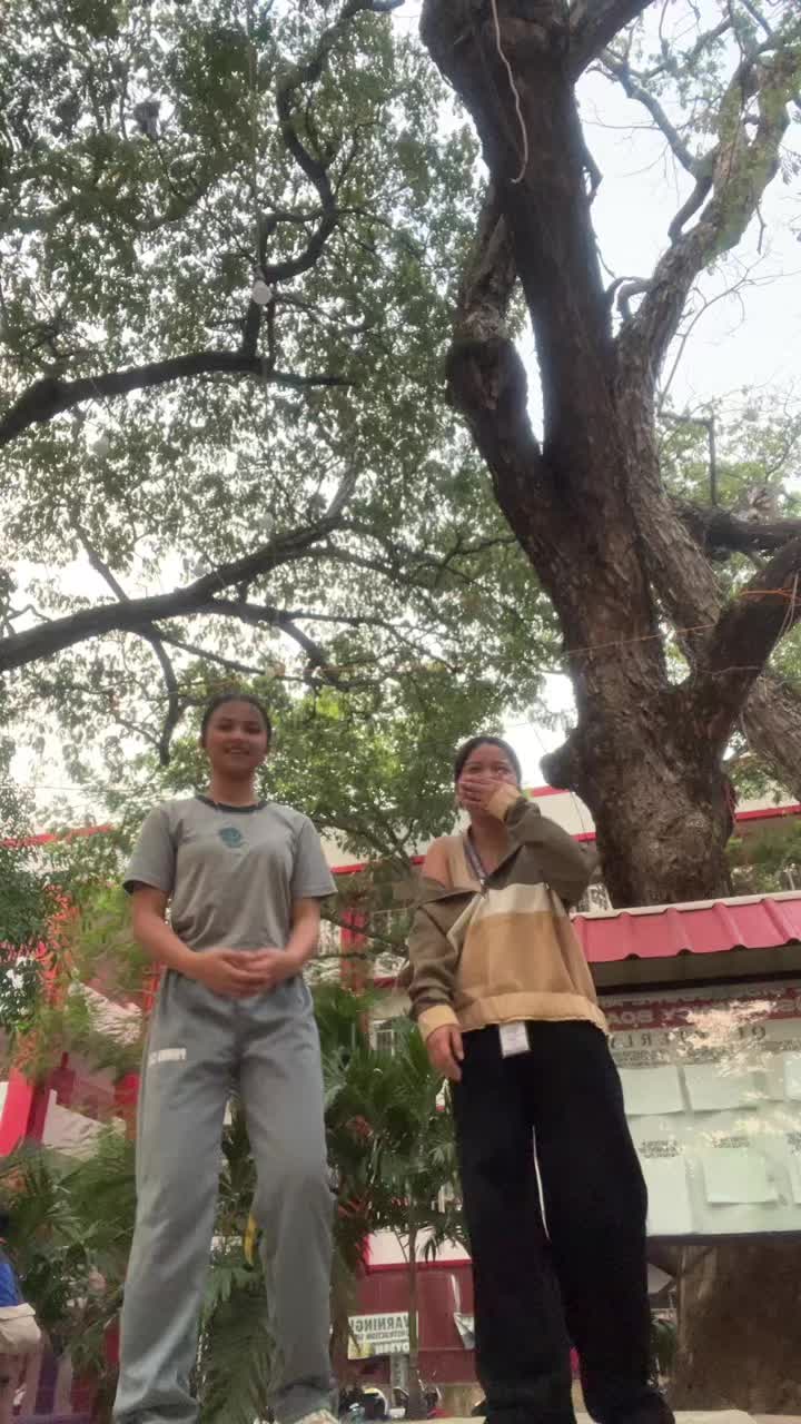 @yanyan
