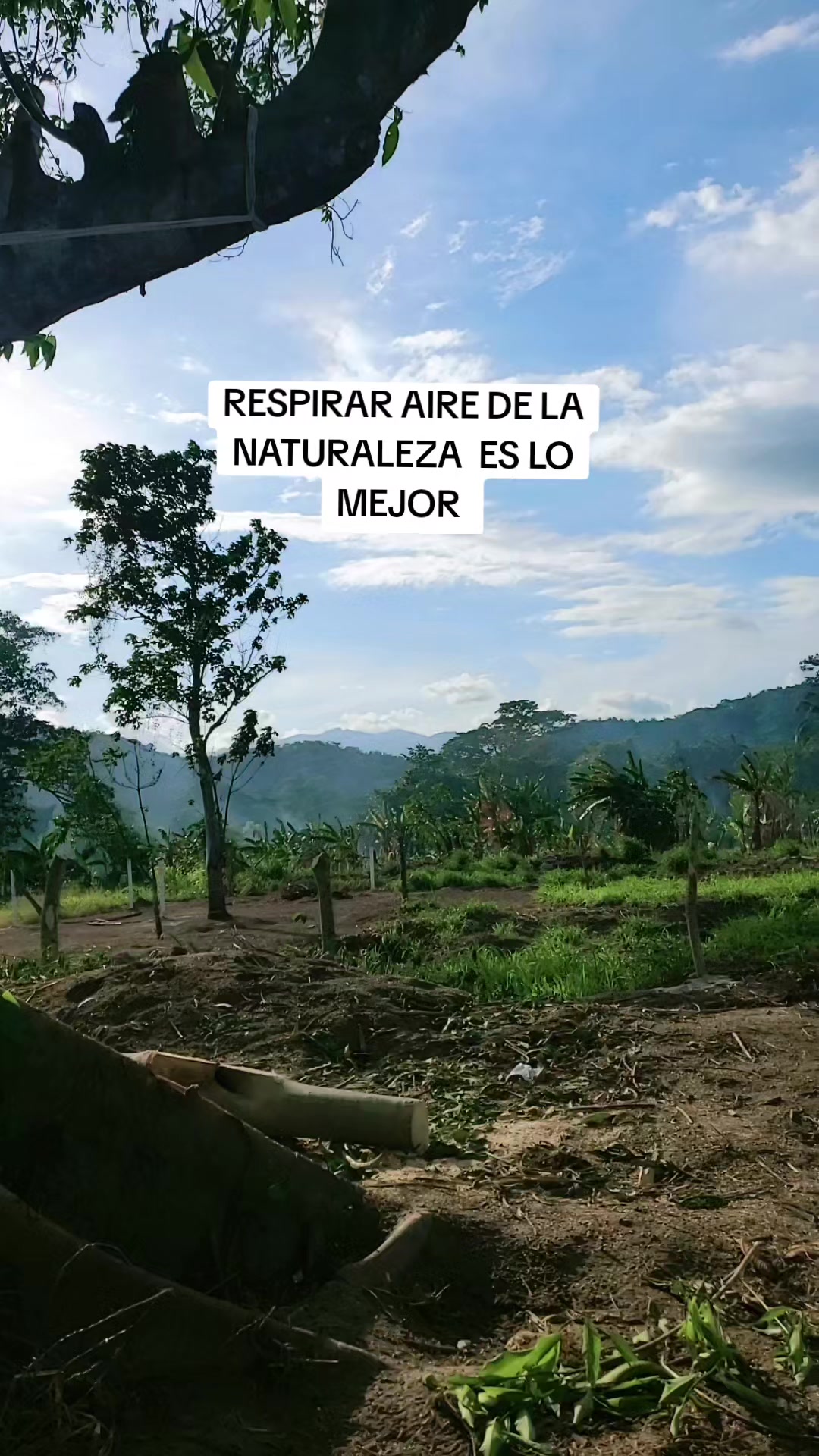 @CRISPITA 🦁🦁🦁🦁