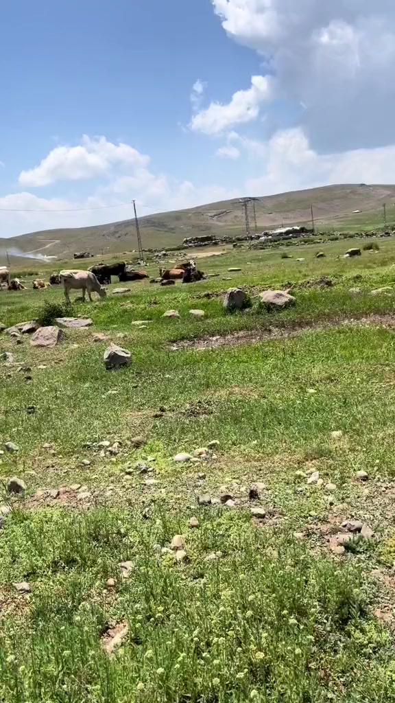 @deniz._.554