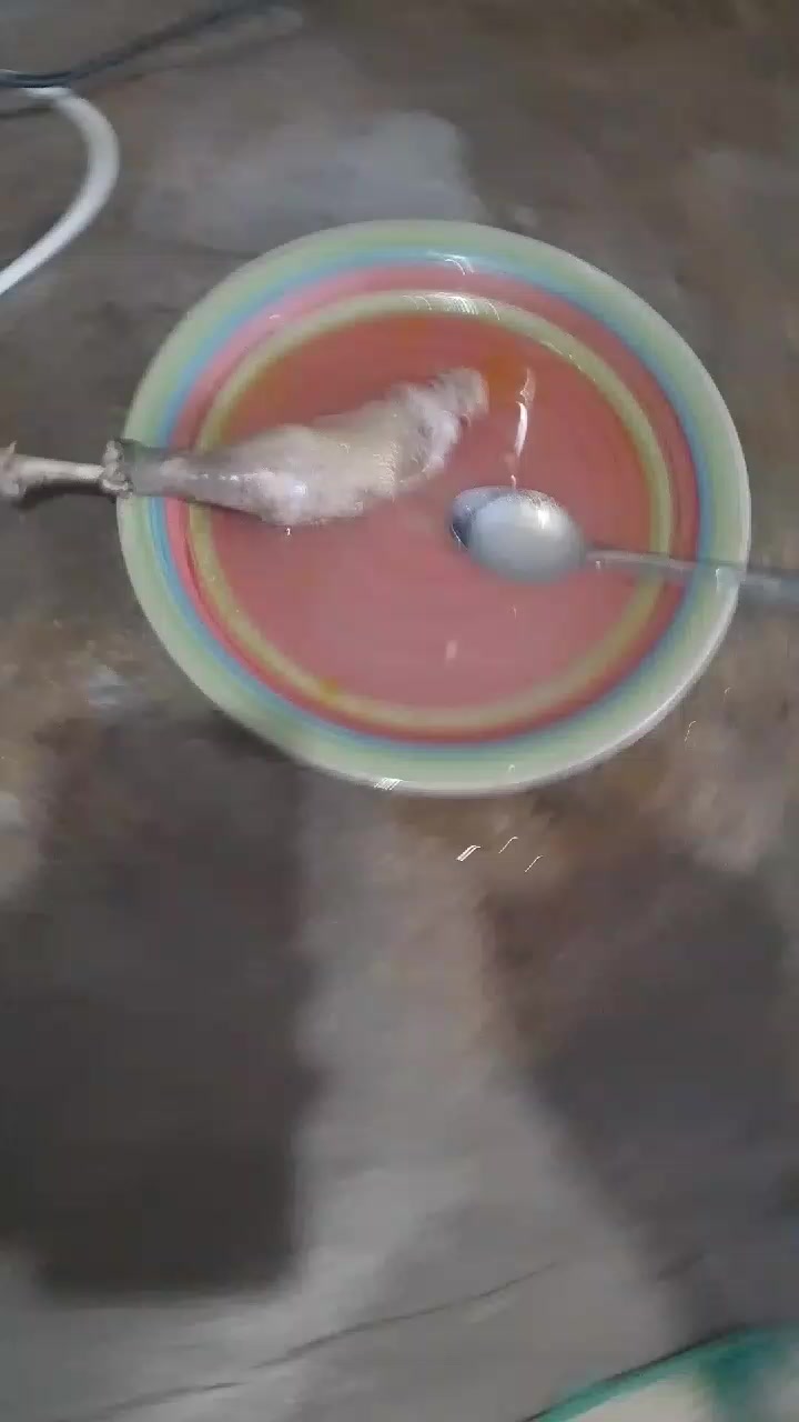 @TEKASHI