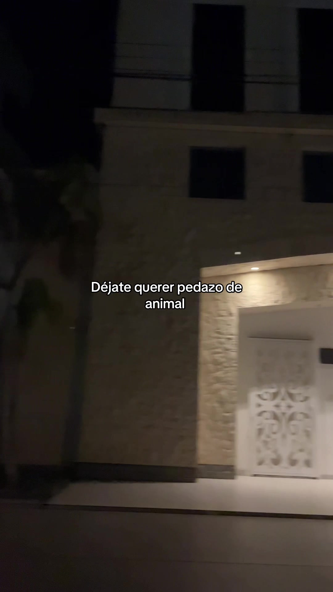 @Gatocix 🐱