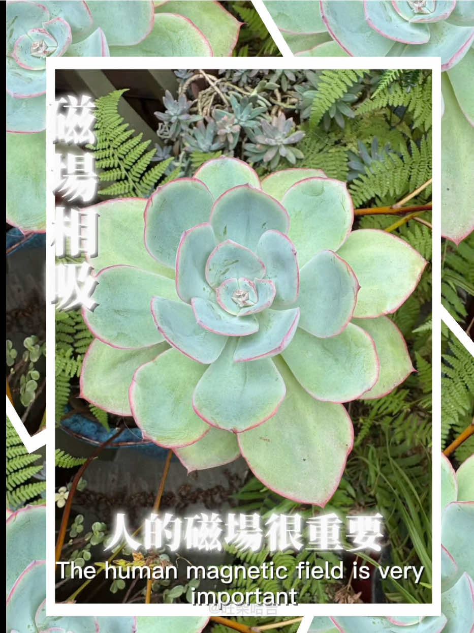 @能量姐