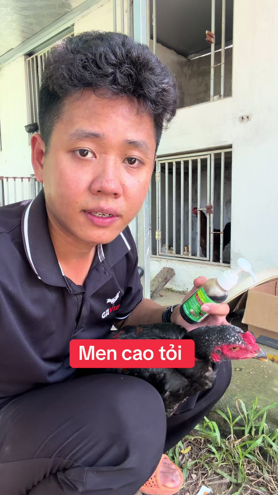 @Quyền Ba Vì