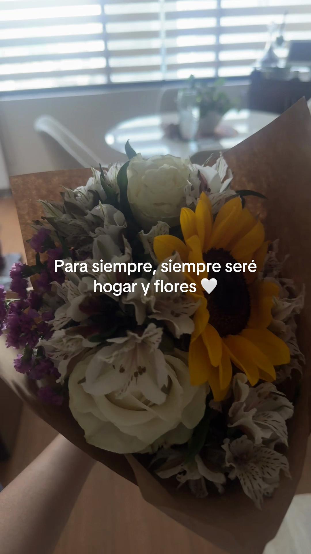 @Maria José Rodríguez 🎤📺