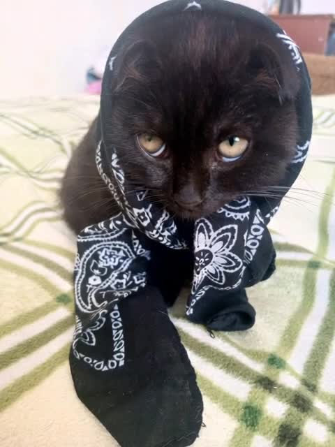 @🖤🖤🖤 🖤🖤🖤
