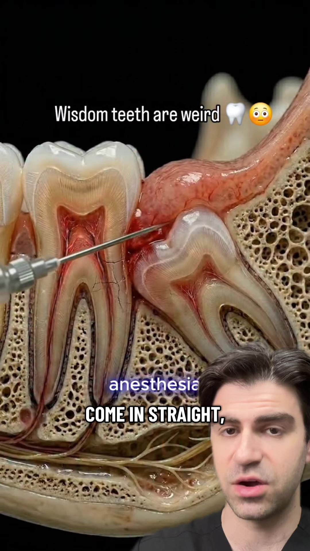 @Dr. Kadish