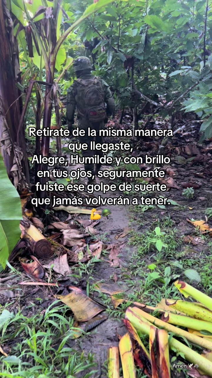 @乂 Wilͥᴍeͣrͫ ࿐🕊️🐺