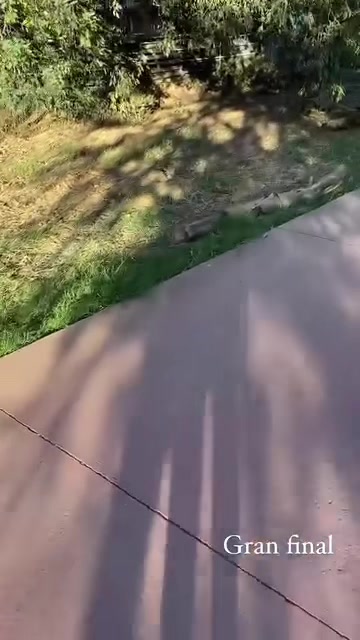 @elsebas7901🇲🇽