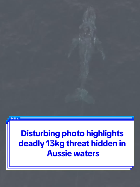 @Yahoo Australia