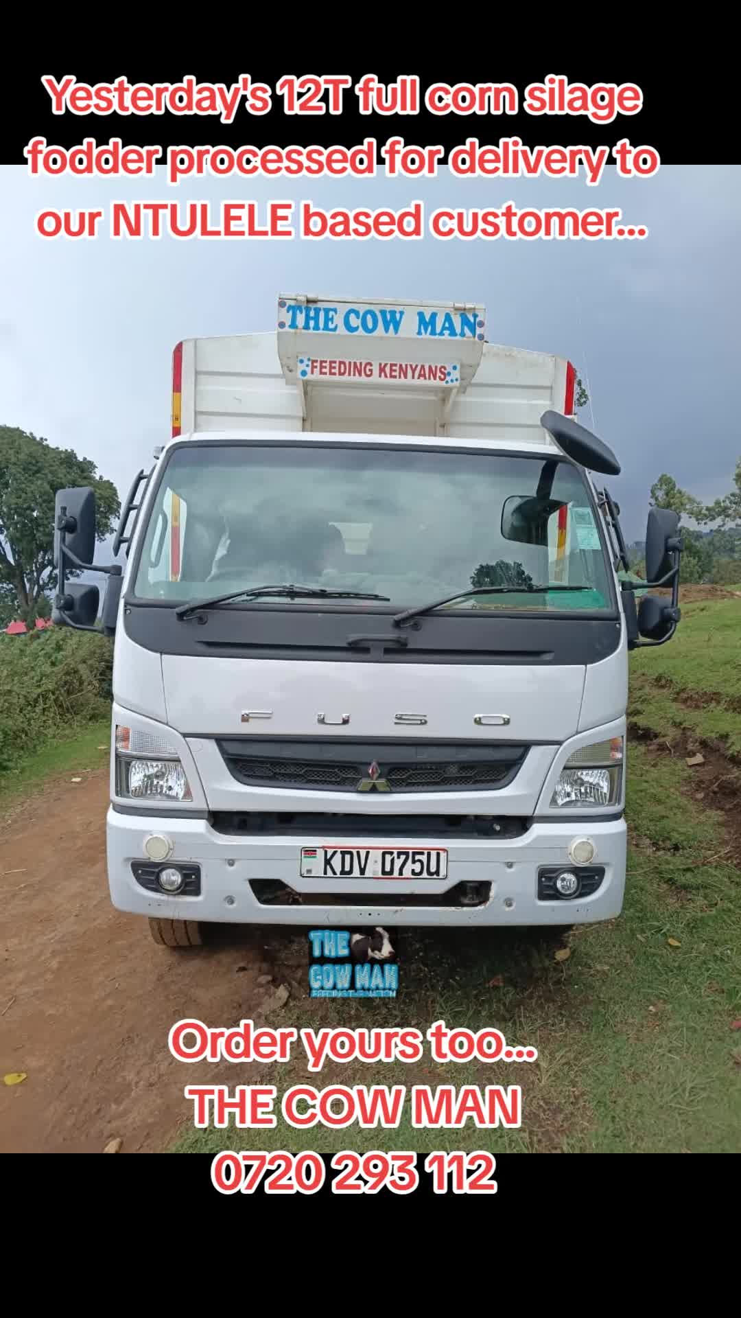 @The cow man