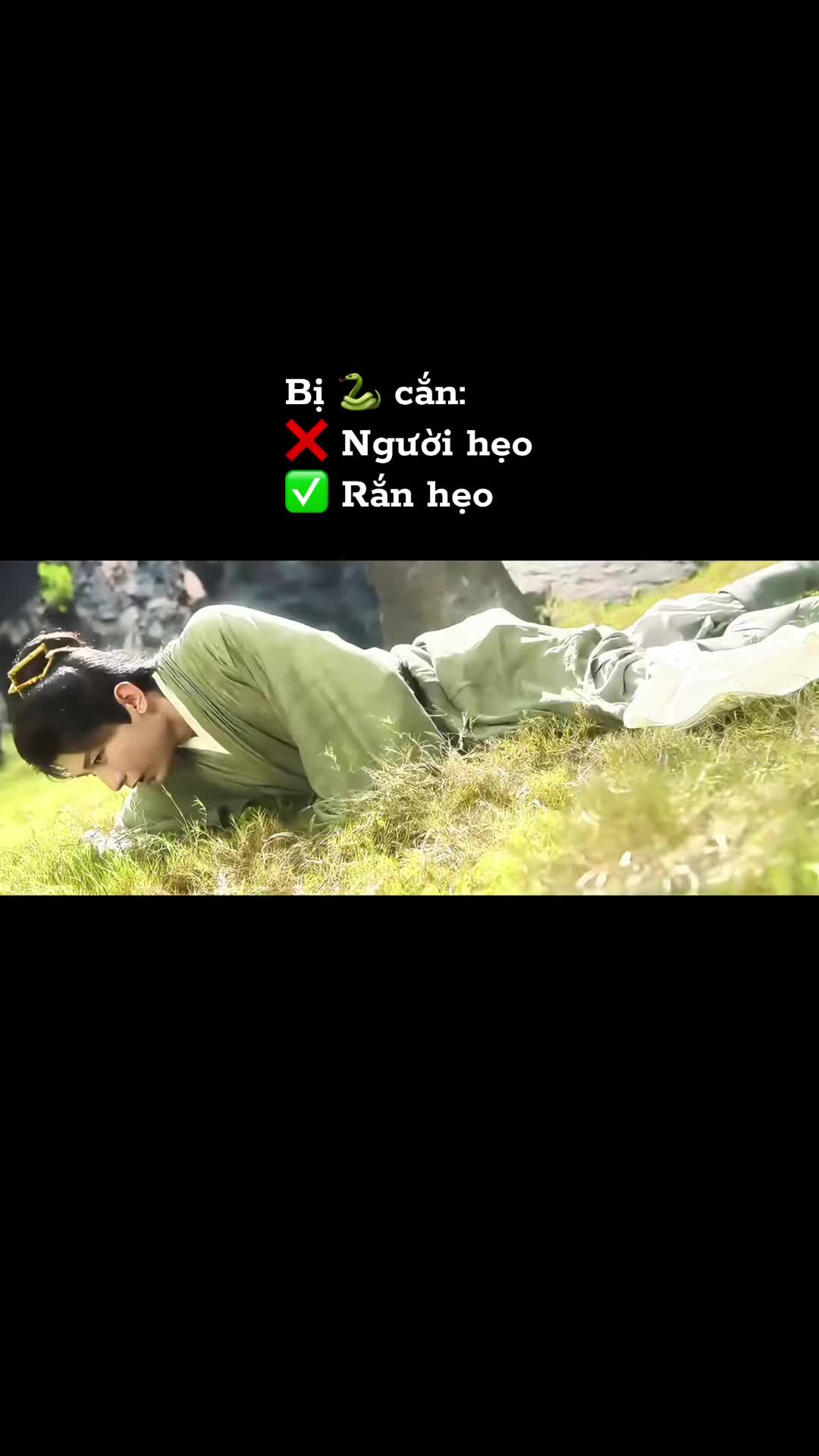 @luvcy_17