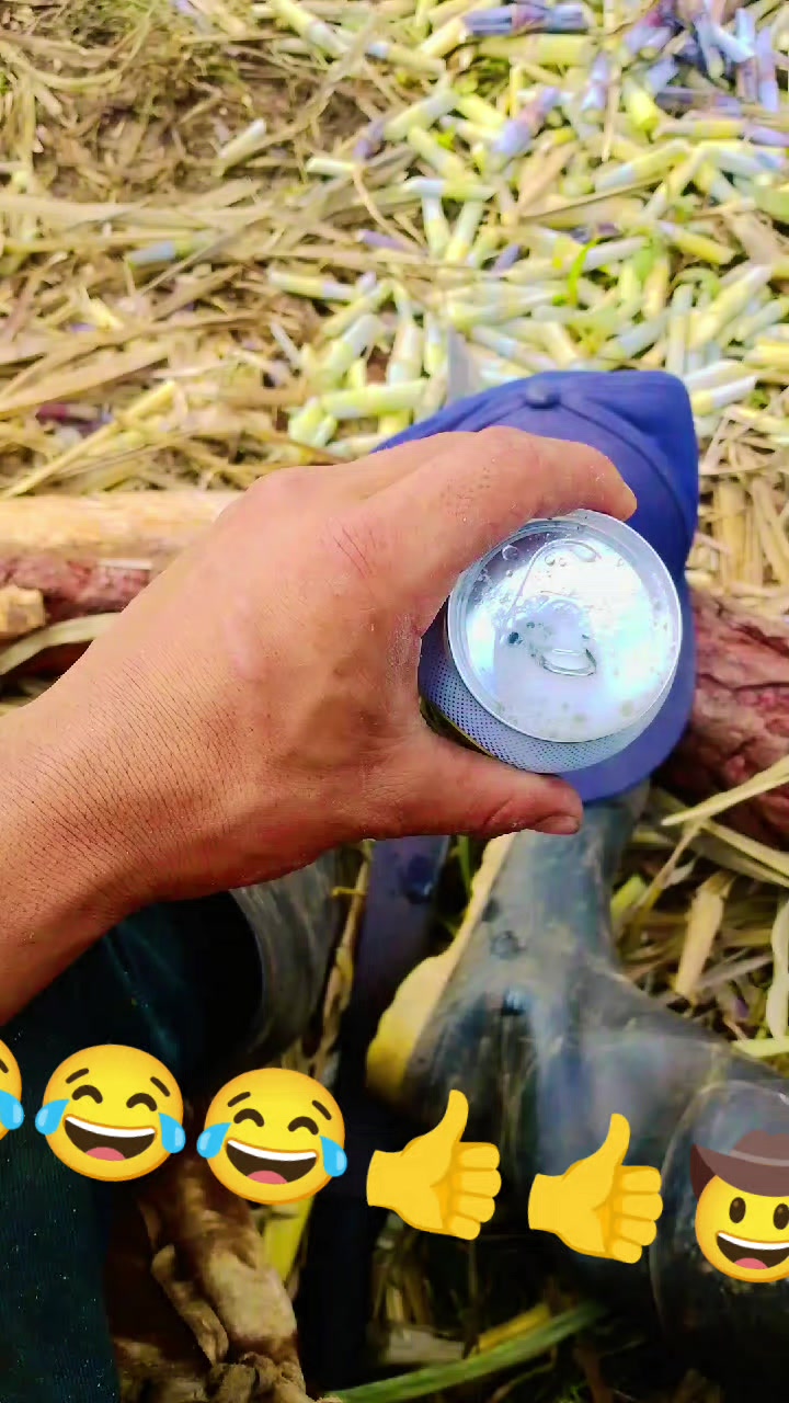 @Santos Aquino