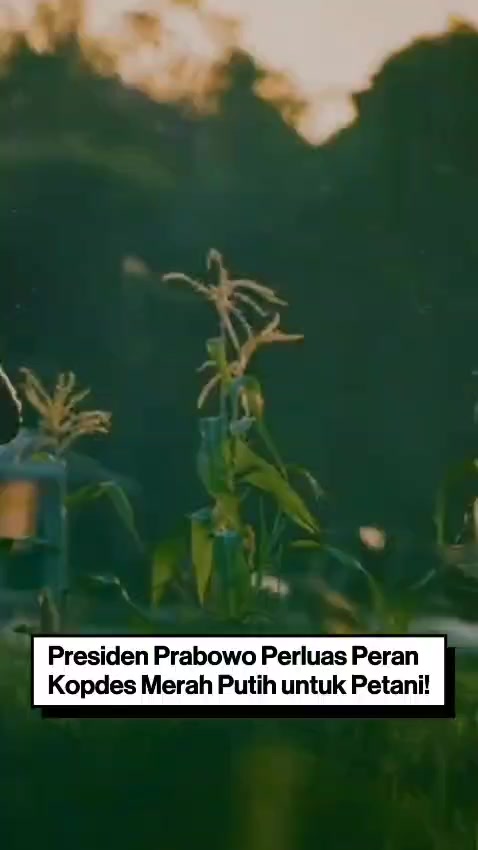@Viral Kupang