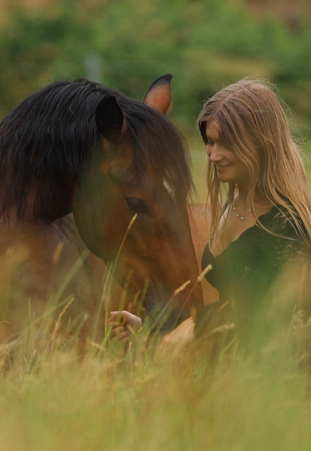 @FieryHorses ❤️&zwj;🔥