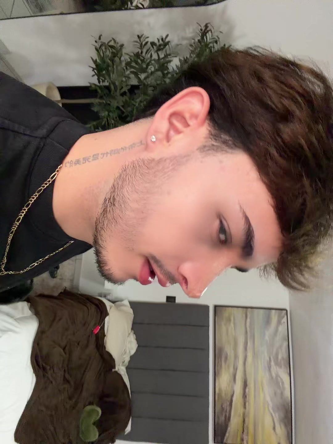 @Favian Álvarez 🤓