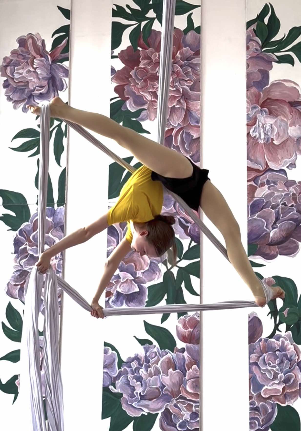@Wellery Aerial Studio 🌸