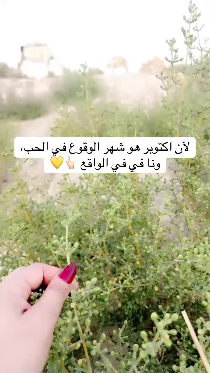 @شوق الشيباني 𓃴♡: