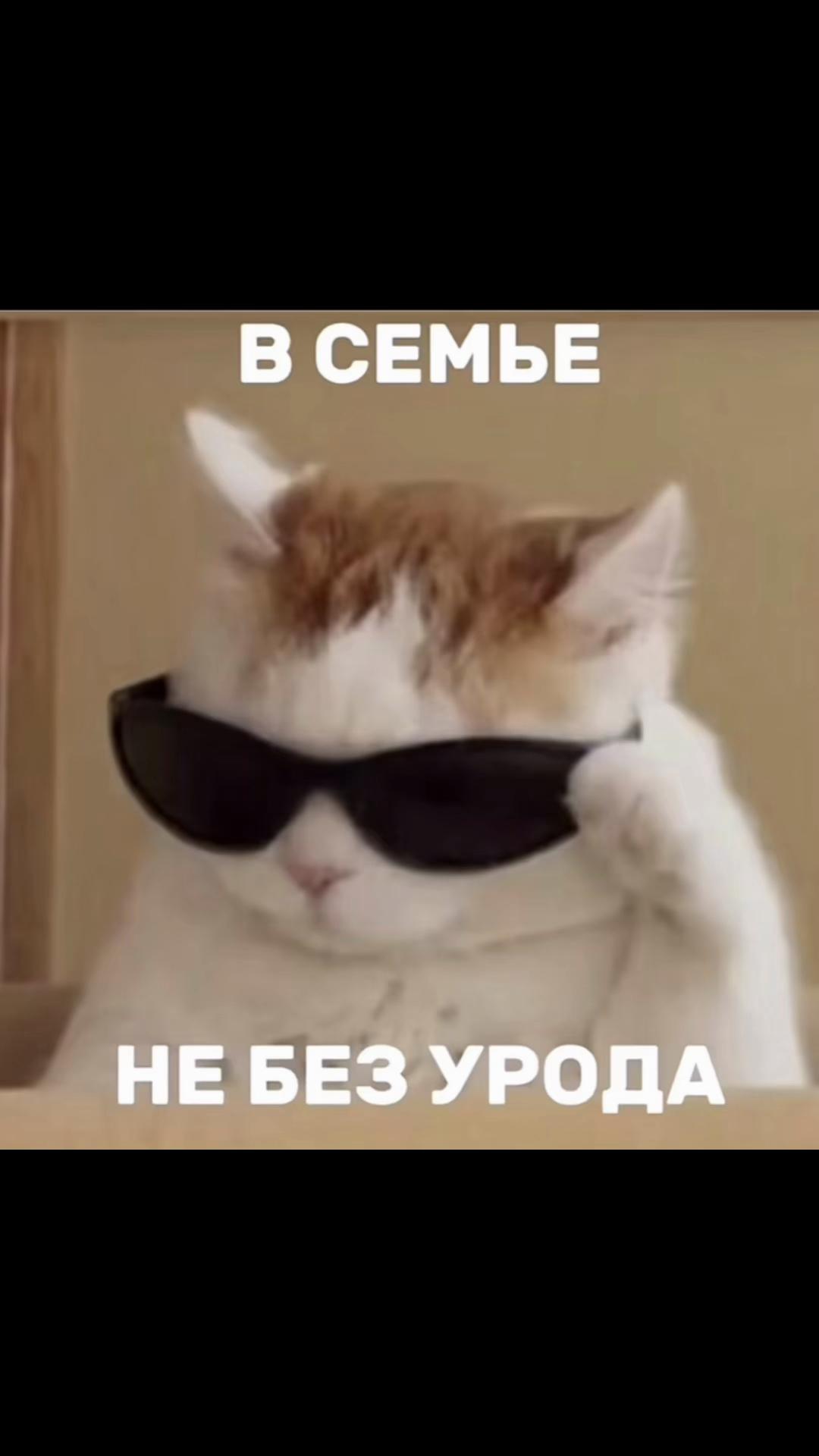 @kamilla